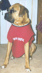 Samson