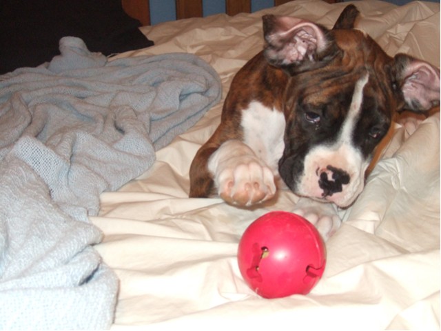Samson