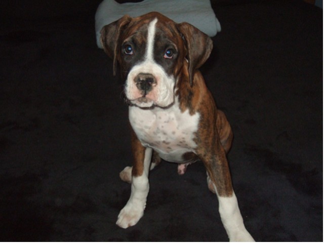 Samson