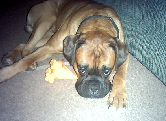 Samson1