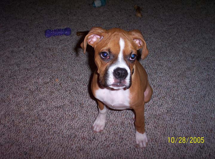 Samson10_28_05