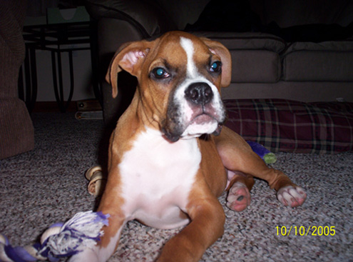 Samson2_10_10_051