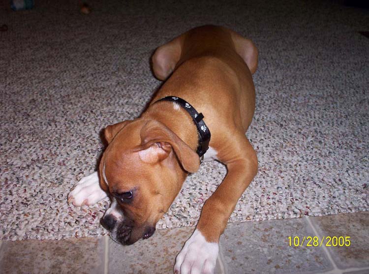 Samson2_10_28_05