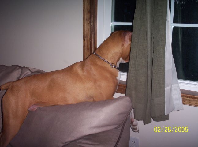 Samson_window2