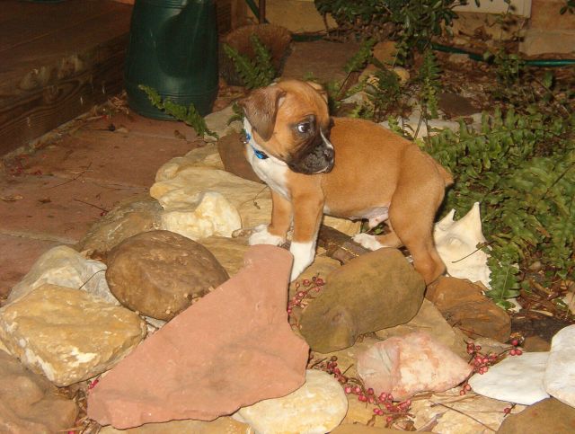 Samson's first photo