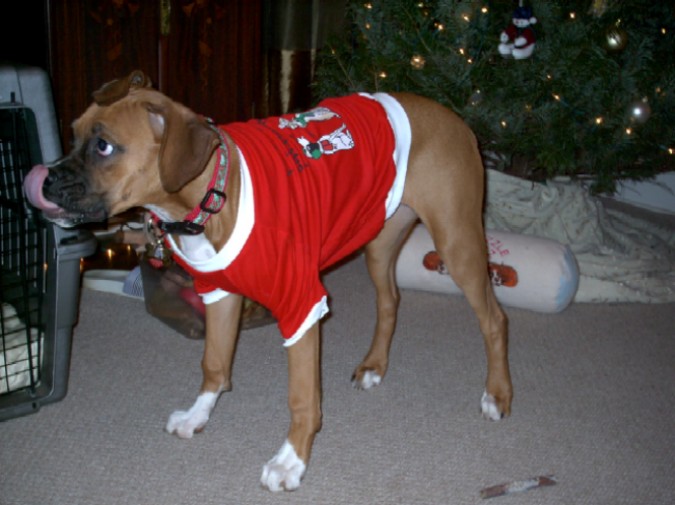 Sancha's First Christmas