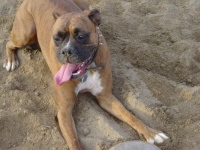 sand