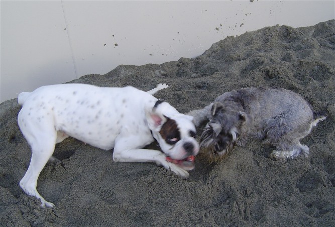 sandpit2