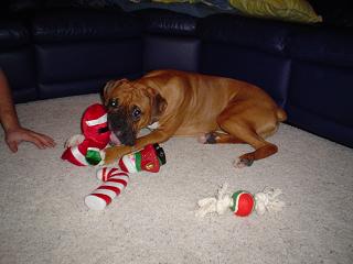 Santa Came To My House