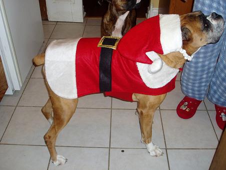 Santa Harley