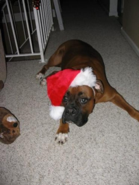 Santa hat.