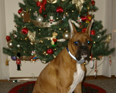 Santa, I'm being good!