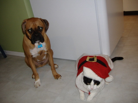 Santa Nigel and Chester