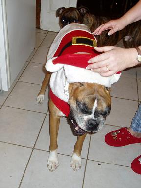 Santa Suit