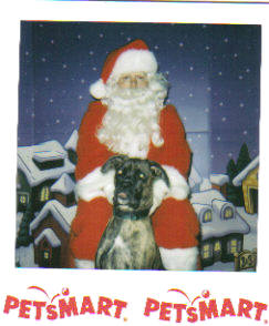 Santa