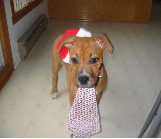 santas helper