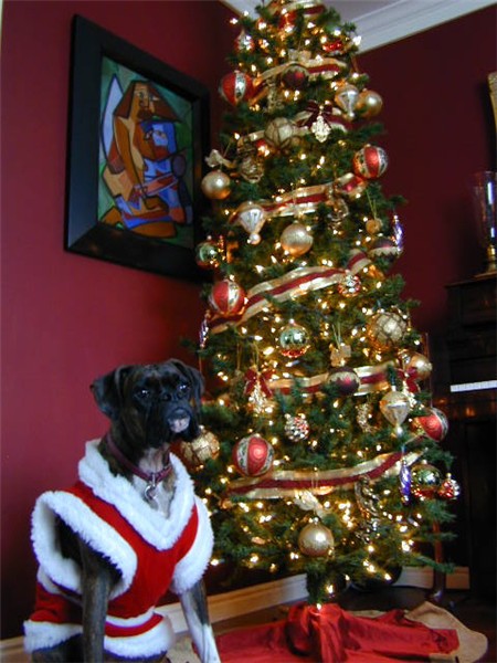 Santas Little Helper