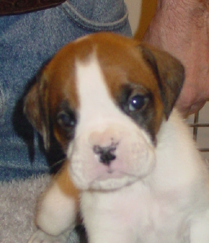 Sarge070805a