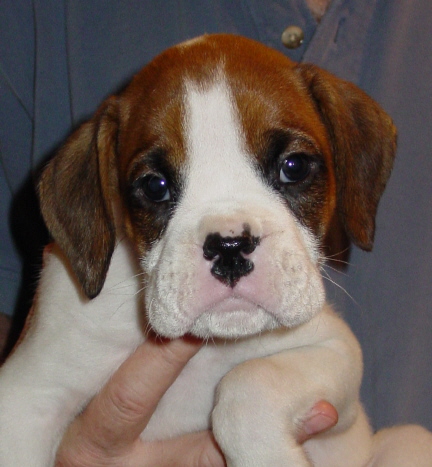 Sarge072305a