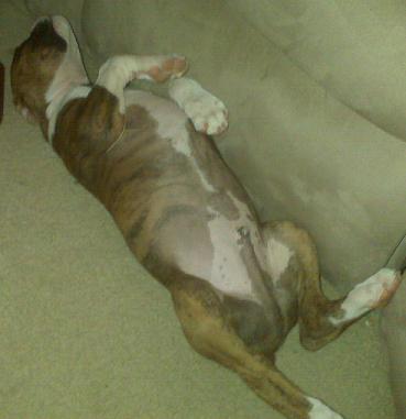 Sarge's fav nappin position