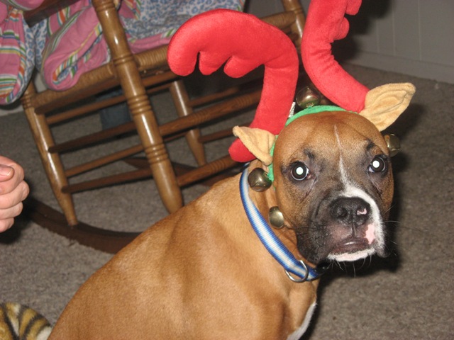 Sarges1stChristmas07