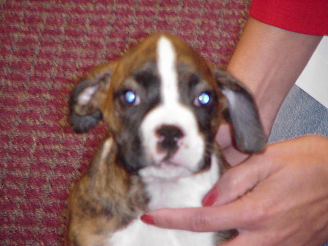 Sasha 11/21/03