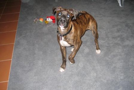 Sasha 4 months