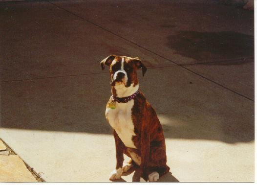 Sasha 5-04