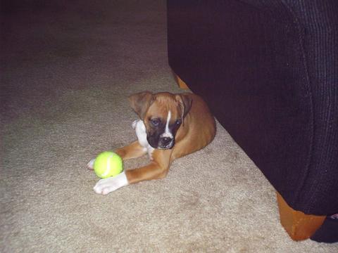 sasha and her ball