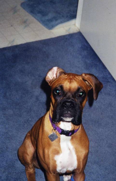 Sasha at 5 months