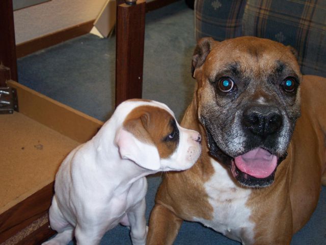 sasha meets bailey