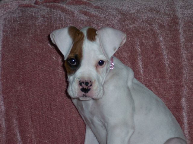 sasha posing
