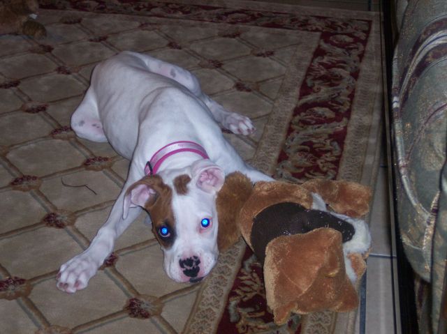 sasha tired