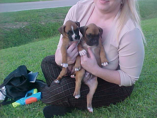 Sassy and Sarge