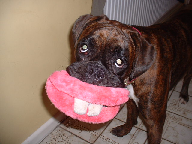 Say cheese Lola