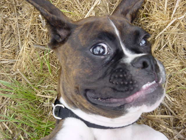 Say Cheese!!!!!
