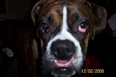 Say cheese!