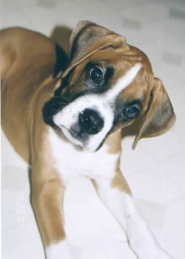 Say What??????