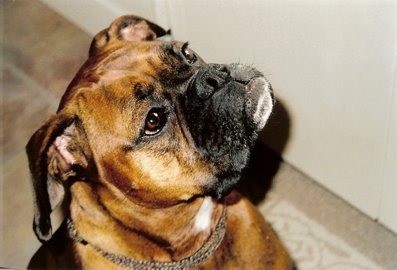 scan0001_resize