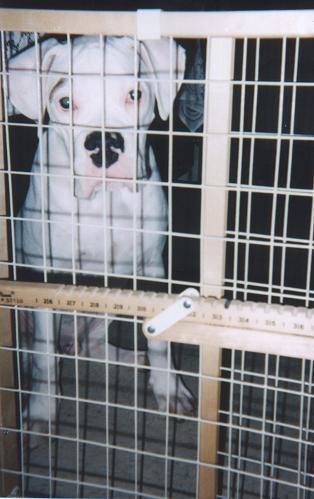 Scan006_January_13_2004
