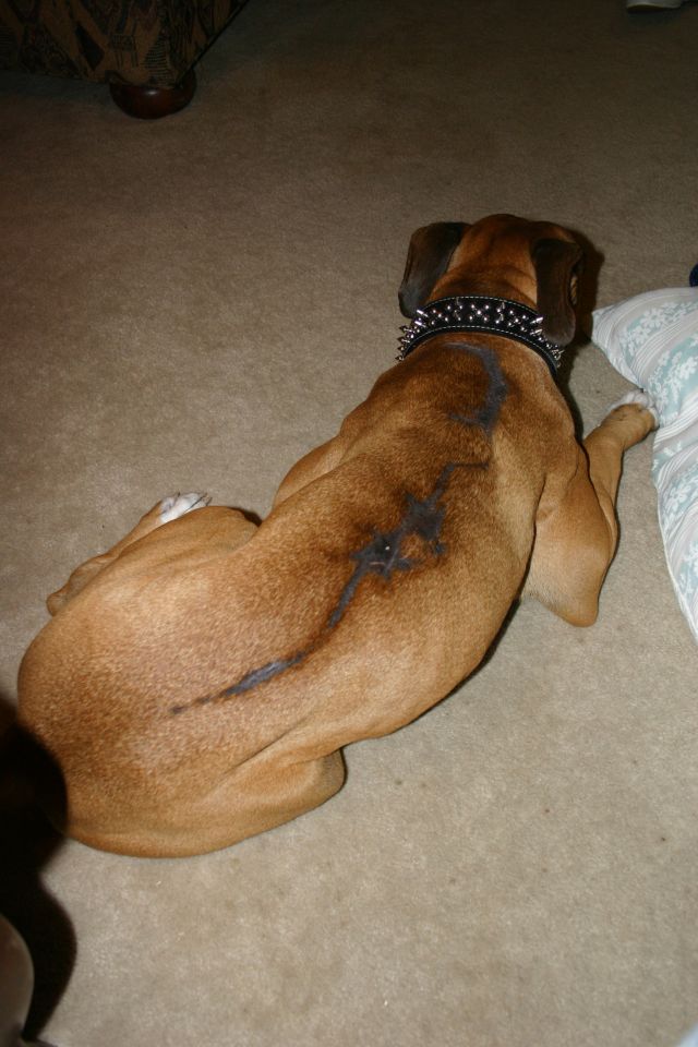 Scars add character.