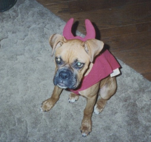 Scary Devil