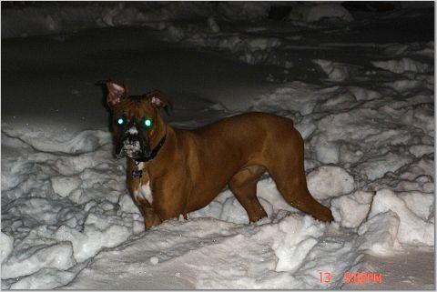 scary eyes!