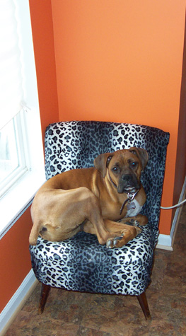 scooby2