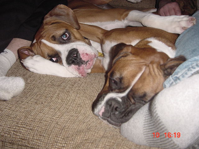 Scooter and Lila