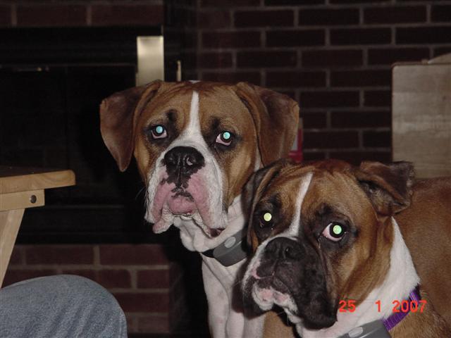 Scooter & Lila