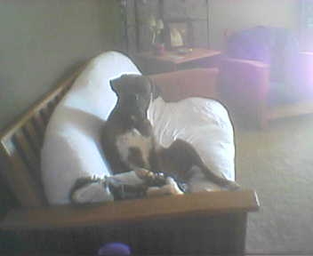 Scooter_10_2003