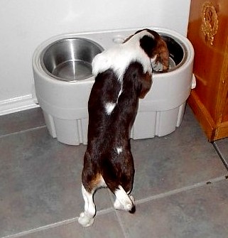 scooter_drinking_03-04