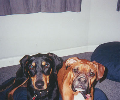 Scout & Sienna
