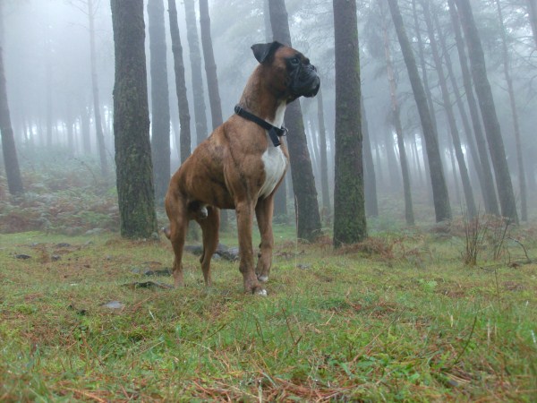 Scouting the area...
